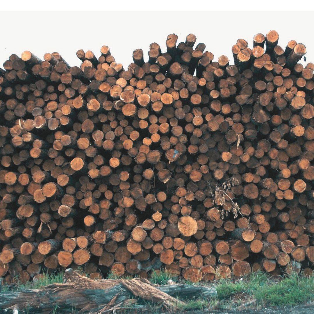 The Evolution of Pellet Stoves and Pellets ComfortBilt